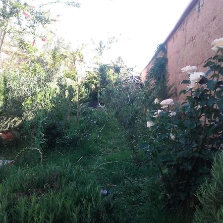 Auberge Toda Aït Igad Exterior foto