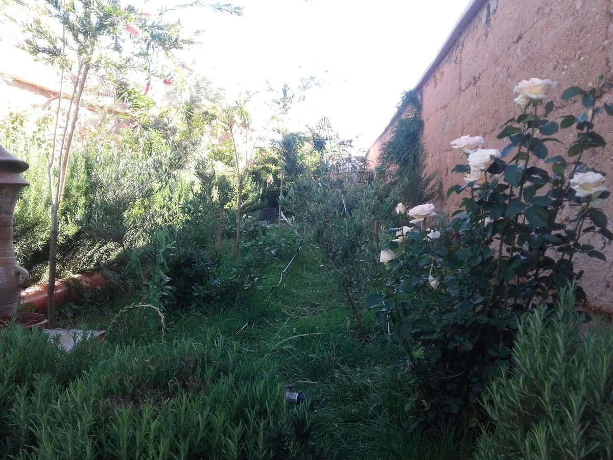 Auberge Toda Aït Igad Exterior foto